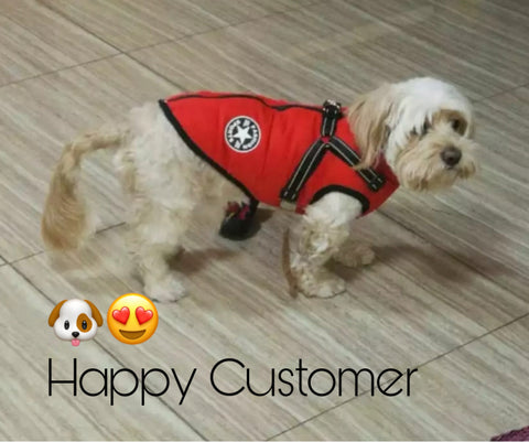 Waterproof Jacket with Harness