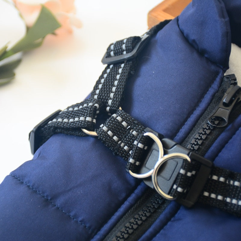 Waterproof Dog Jacket with Harness