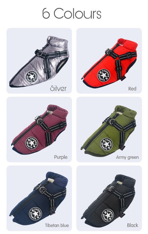 Waterproof Dog Jacket with Harness