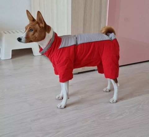 Waterproof Dog Jumpsuit