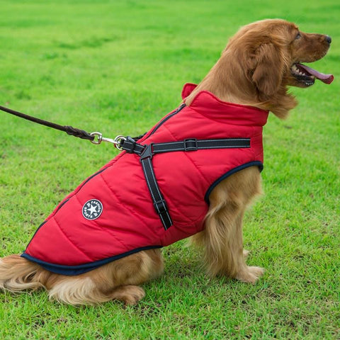 Waterproof Dog Jacket with Harness