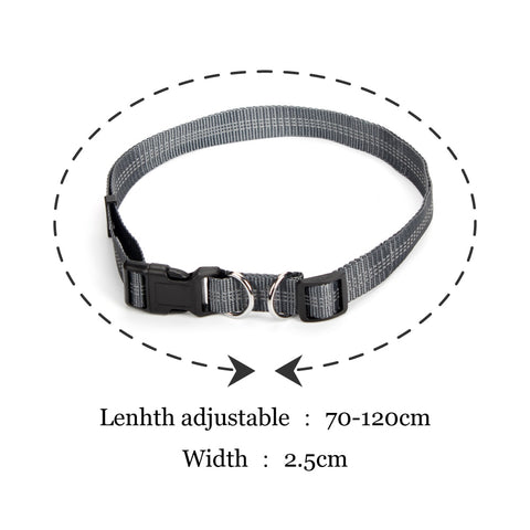 Hands Free Dog Leash For Running